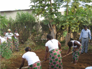 recent-happenings-agricultural-training-for-women-in-chingwere