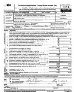 form990-2016-thumbnail