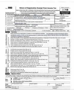 form990-2018-thumbnail